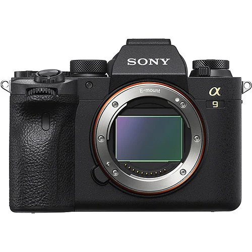 Top 5 Cameras in 2021 for Photojournalists and Street Photography — Photo 5