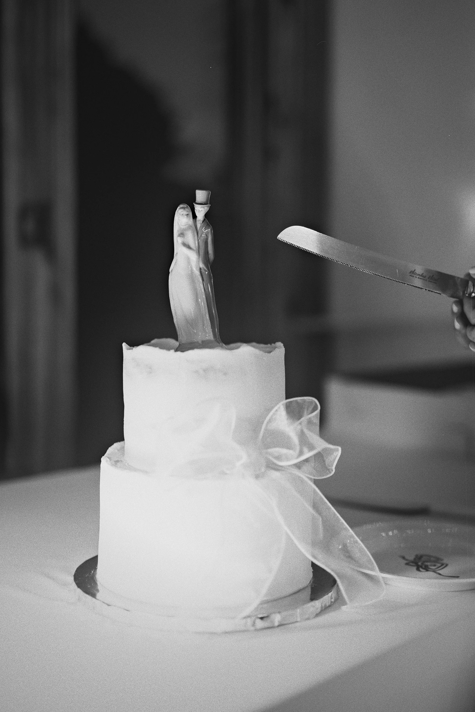 The couple holds the knife over their wedding cake.
