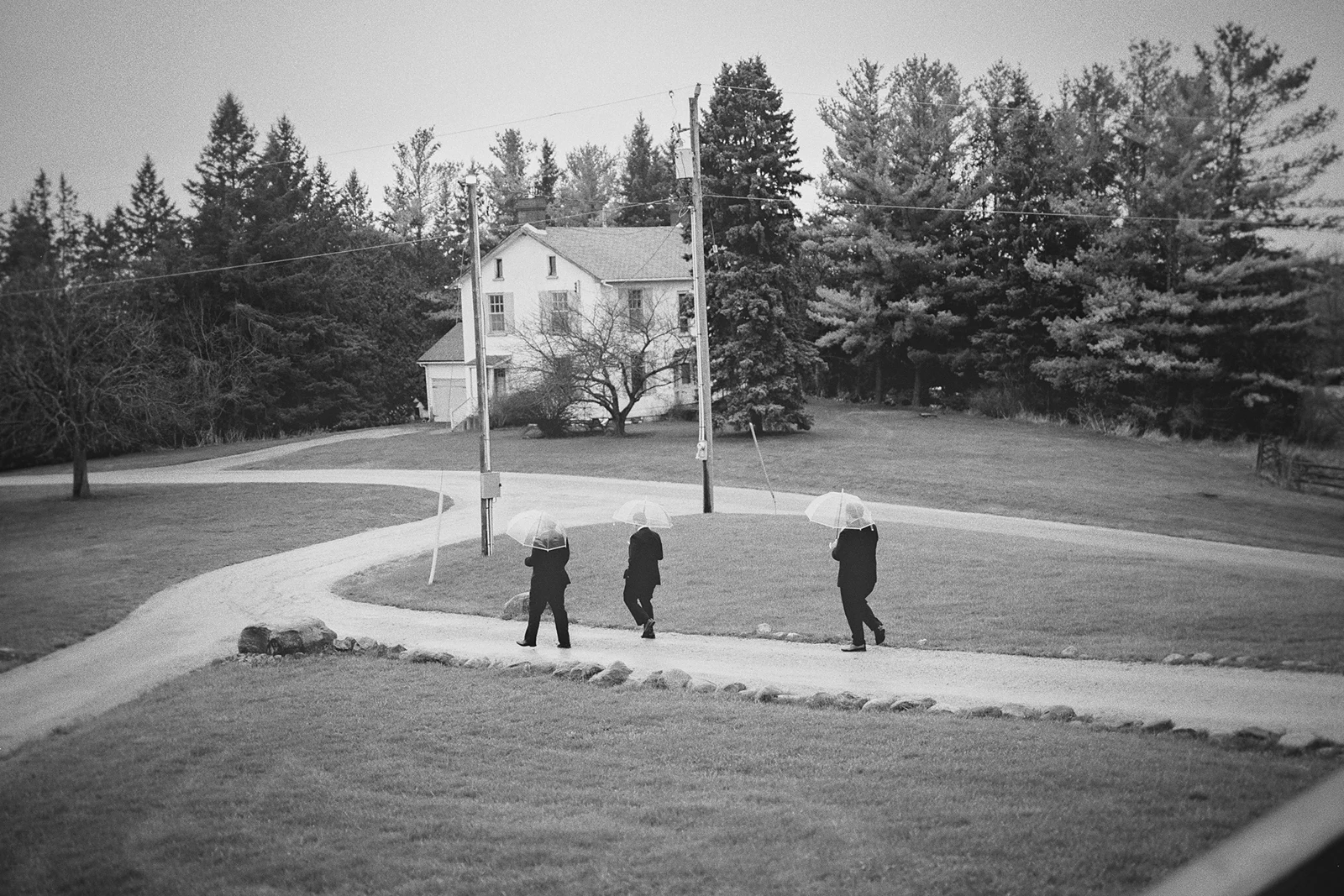 Groomsmen walk with umbrellas on a path.