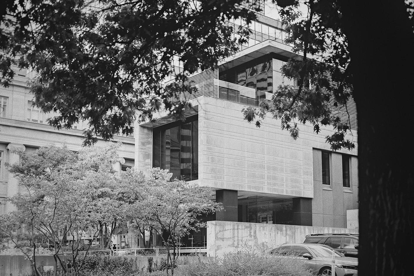 The modern architecture of the Gardiner Museum is seen through the trees.